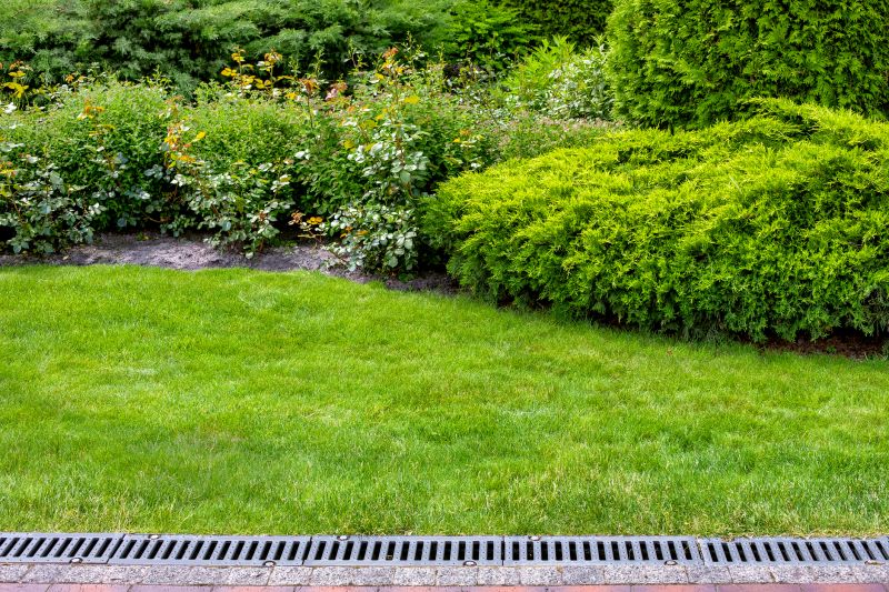 Yard Drainage Installation